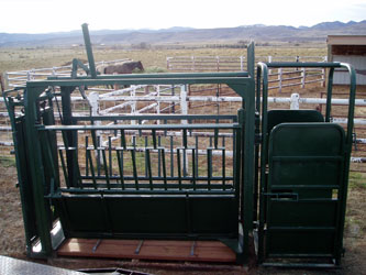 Big Valley Yearling Squeeze Chute
