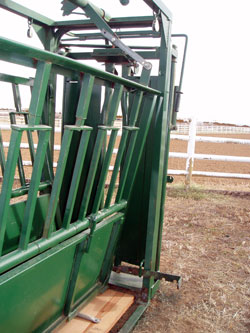 Yearling Squeeze Chute