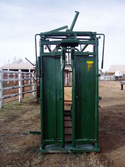 Yearling Squeeze Chute