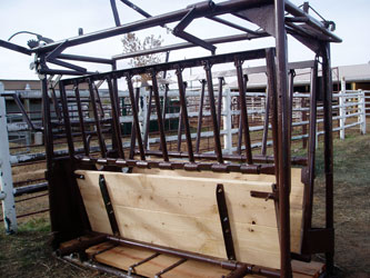 Yearling Squeeze Chute