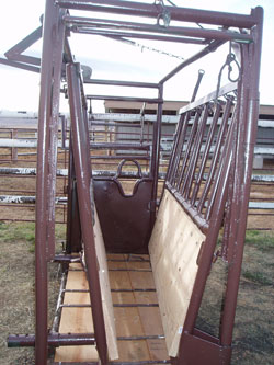 Yearling Squeeze Chute