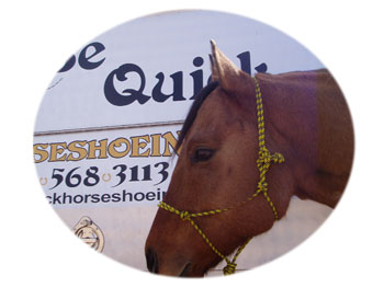 Be Quick Feed & Farrier
