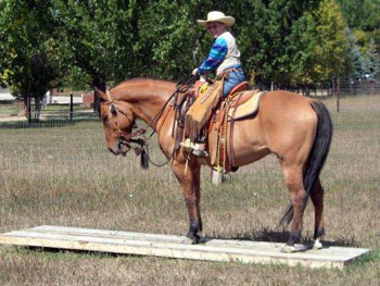 Be Quick Feed & Farrier