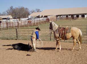 Roping at Be Line Equestrian Center