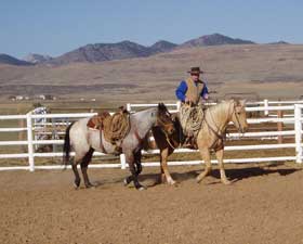Roping at Be Line Equestrian Center