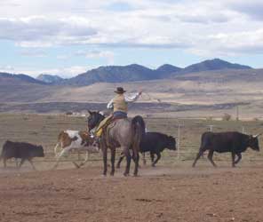 Ranch Roping at Be Quick, Inc.