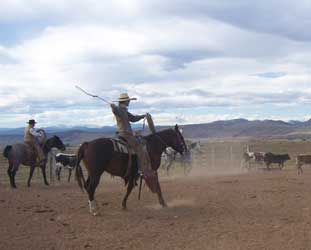 Ranch Roping at Be Quick, Inc.