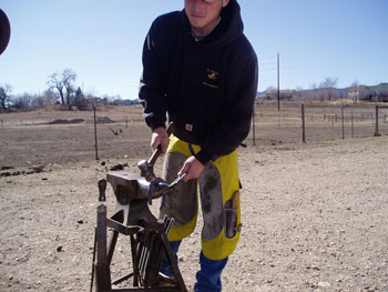 Be Quick Horseshoeing, Inc.