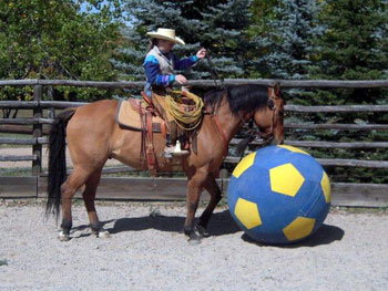 Be Quick Horseshoeing, Inc.