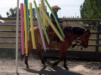 Be Quick Feed & Farrier