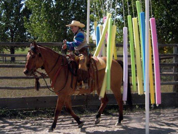 Be Quick Feed & Farrier