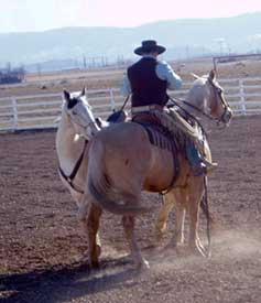 Weanling Program